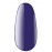Gel polish 12 ml B 60 Kodi professional